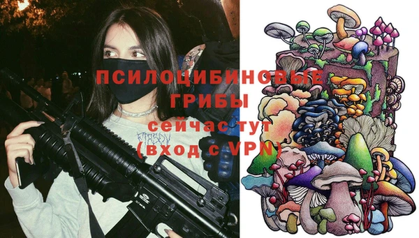 ALPHA PVP Переславль-Залесский