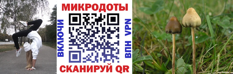 даркнет состав  Правдинск  Псилоцибиновые грибы Psilocybine cubensis  хочу наркоту 